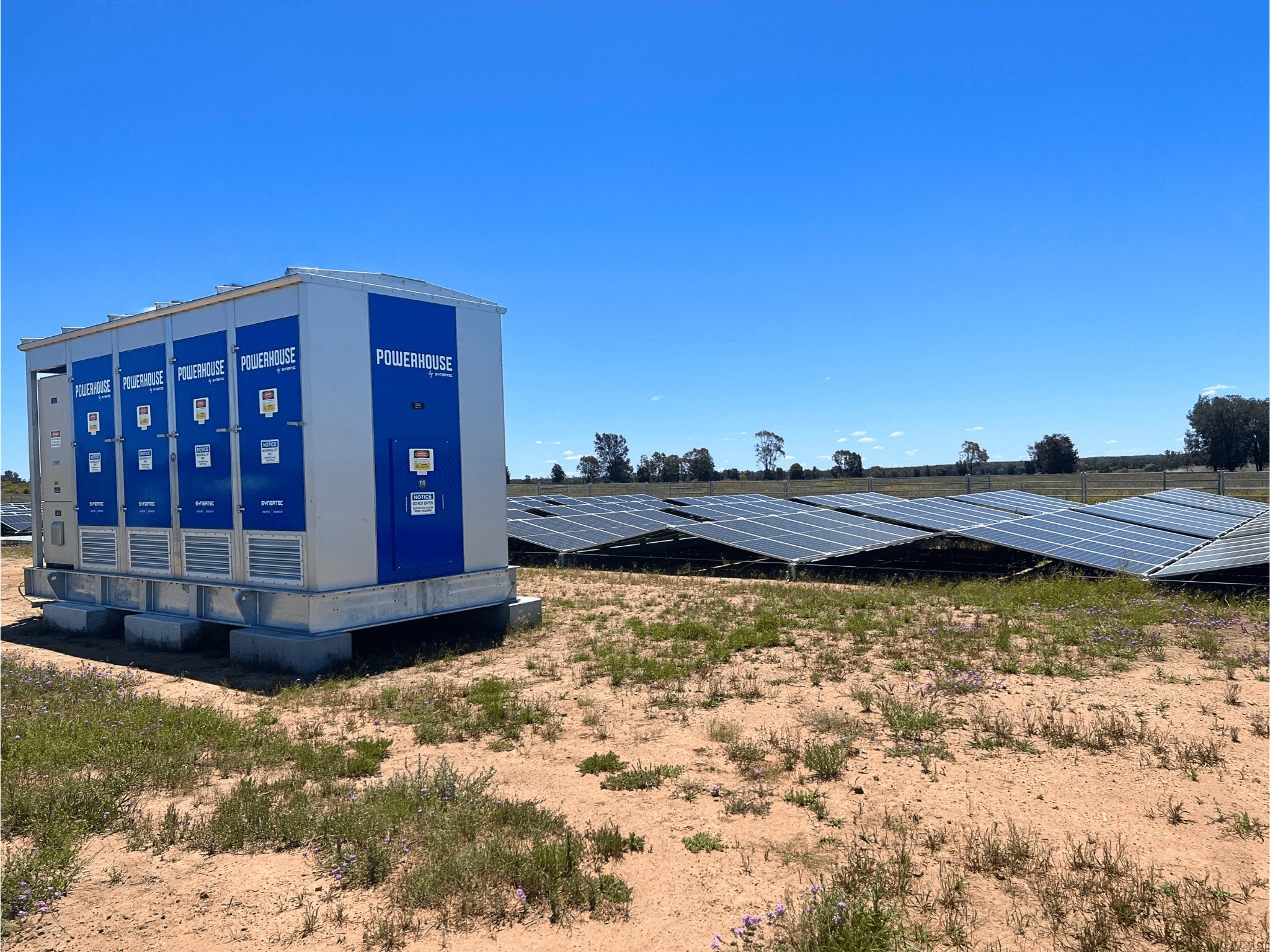 Read more about the article Powerhouse | Roma